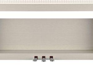 1558775438447-37.YDP163WA Y WITH BENCH.3.jpg